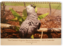 Project Perry 2010 Calendar